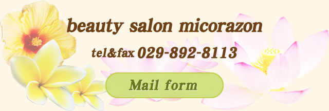 beauty salon micorazon Mail form