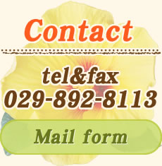 Contact Mail form